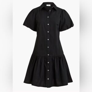 J. Crew Bubble Sleeve Dress